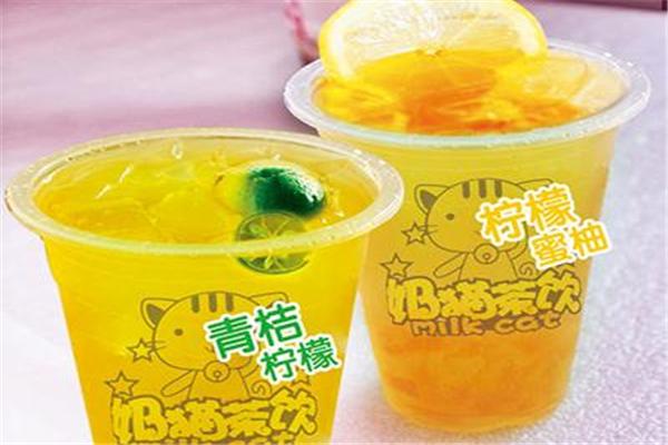 奶貓奶茶
