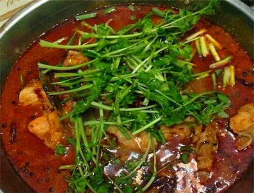 阿婆魚火鍋加盟