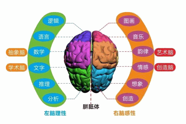 腦立方幼兒教育