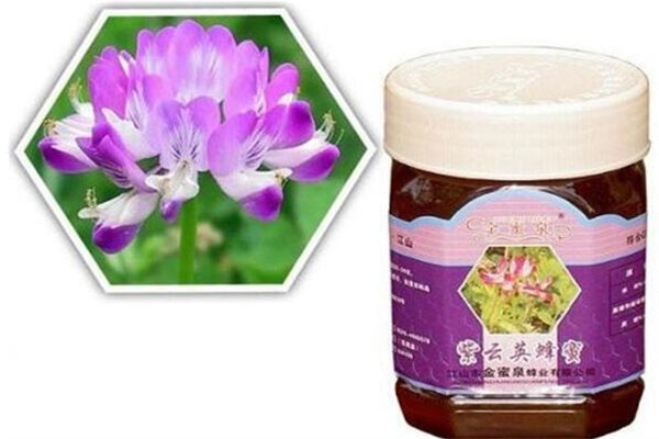 金蜜泉蜂產(chǎn)品加盟