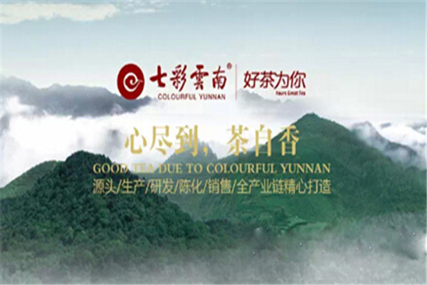 七彩云南慶灃祥茶業(yè)加盟