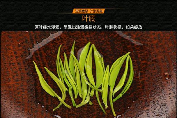 金果茶葉加盟