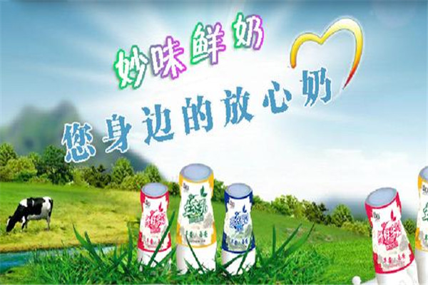 楊凌妙味酸奶加盟