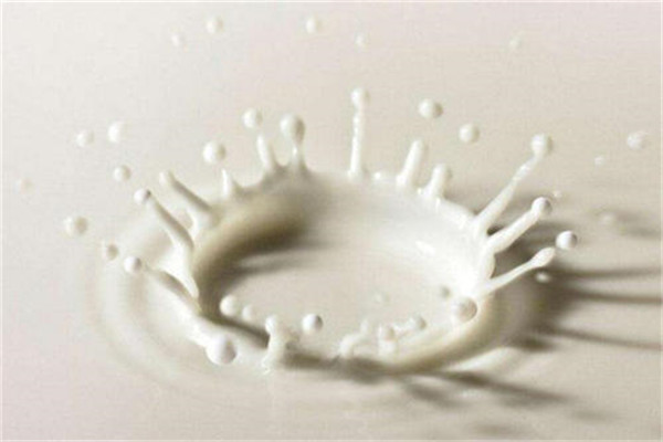 祥菊乳業(yè)加盟