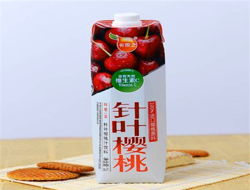 卡依之果汁加盟