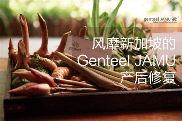 Genteel JAMU產(chǎn)后修復(fù)