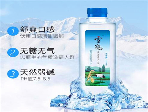 雪鶴天然蘇打水加盟