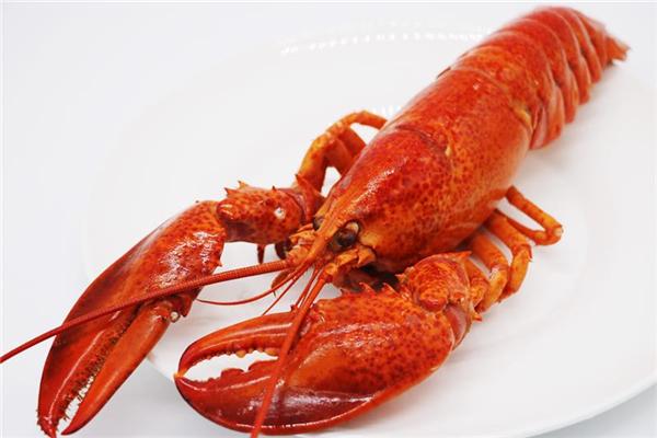 大唐食品加盟