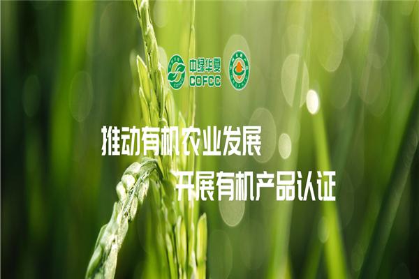 中綠華夏食品加盟