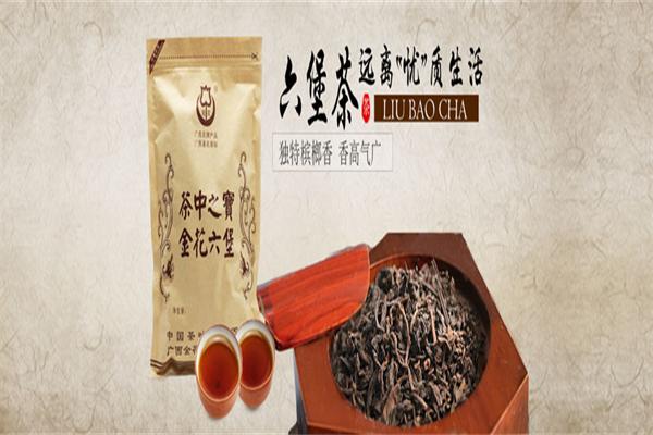 金花茶葉加盟