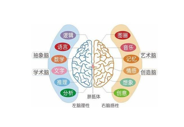 卓人右腦教育