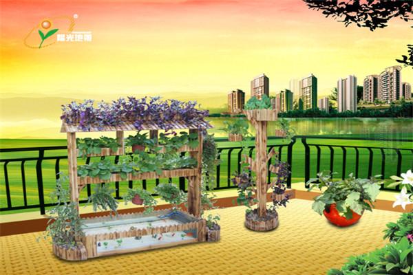 陽光地帶陽臺(tái)菜園加盟