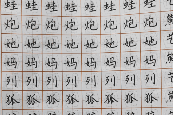 金坐標(biāo)練字