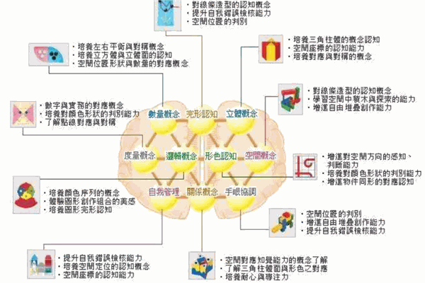 kmi全腦開發(fā)加盟