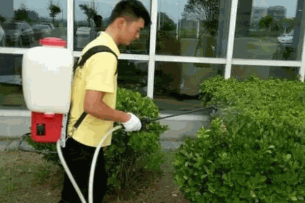 幫幫控蟲服務有限公司支持政策有哪些?