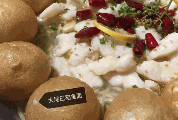 大尾巴貓魚面