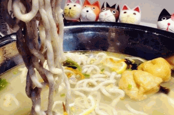 大尾巴貓魚面
