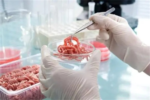 人造肉實驗室