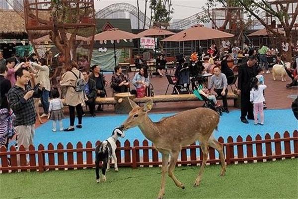 貝塔萌寵樂園加盟