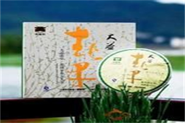 大益普洱茶葉