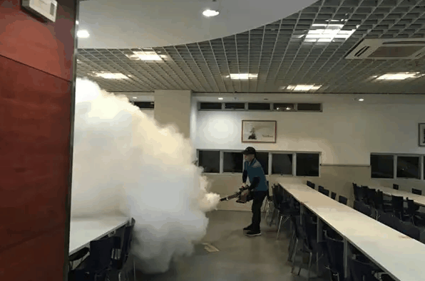黑貓有害生物防治