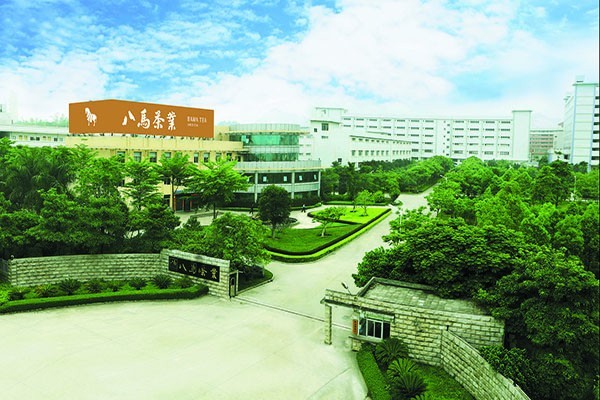 八馬茶業(yè)店加盟