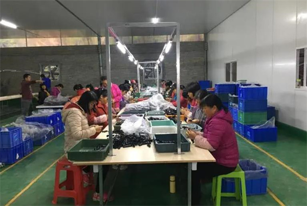 玩具加工廠需要多少錢？