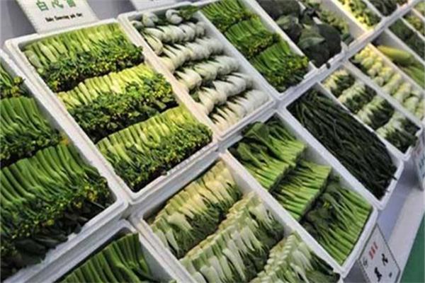泉味綠色食品加盟