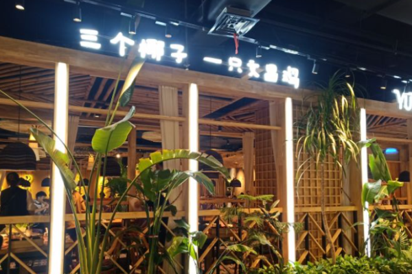 三個椰子原生態(tài)椰子雞