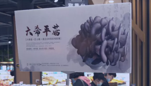 六希蘑菇加盟