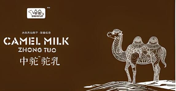 中駝駝奶加盟