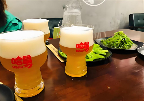 哈舅精釀啤酒加盟