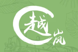 越嵐正宗越南牛肉粉加盟