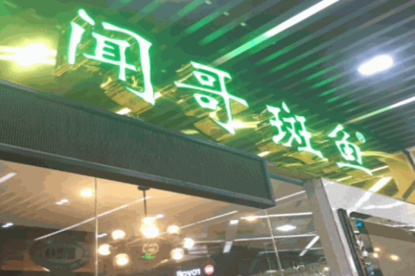 聞哥斑魚(yú)火鍋加盟