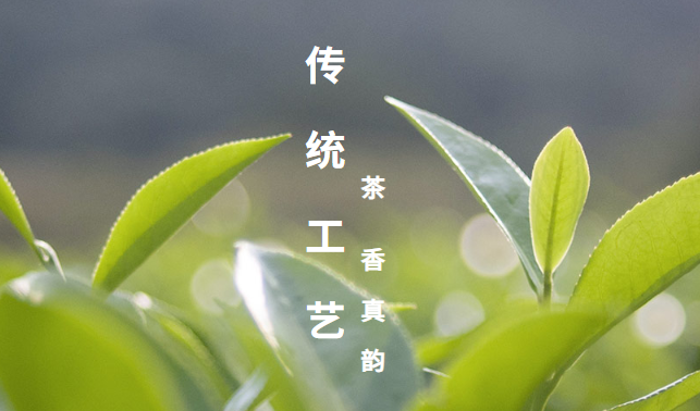 海山茶業(yè)加盟