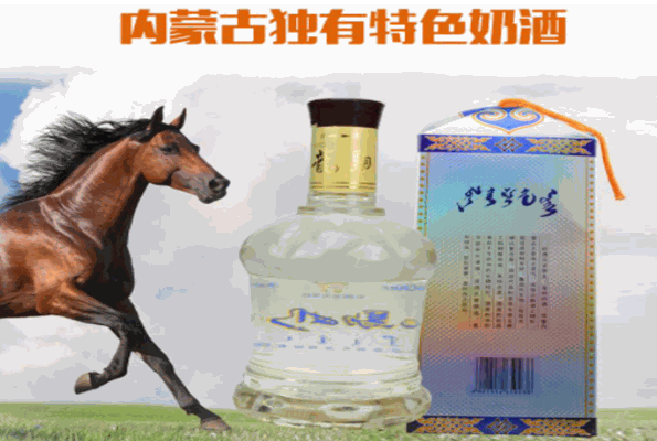 龍駒奶酒加盟