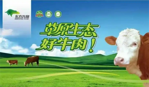 東方萬旗肉牛加盟
