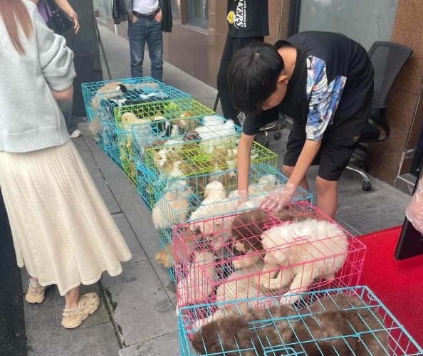 上海做什么小生意能賺錢(qián)啊現(xiàn)在？從城市脈搏中捕捉財(cái)富密碼