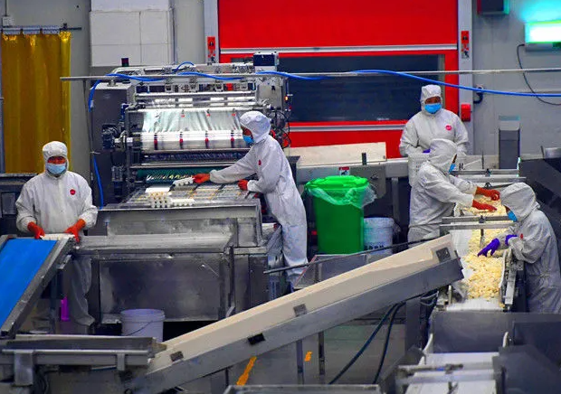 上海開速凍食品加工廠前期投資多少？前期投資全解析