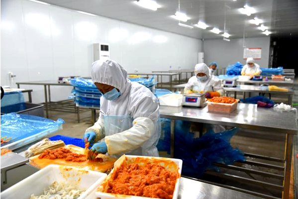 上海速凍食品廠投資需要多少錢？從土地到運(yùn)營(yíng)的全鏈條測(cè)算