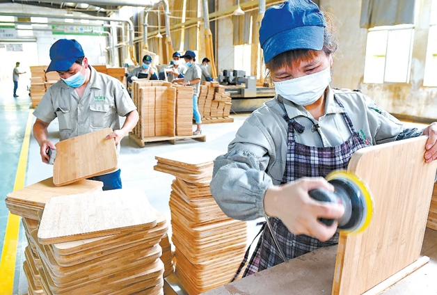 上海竹纖維加工廠投資多少？上海竹纖維加工廠投資分析