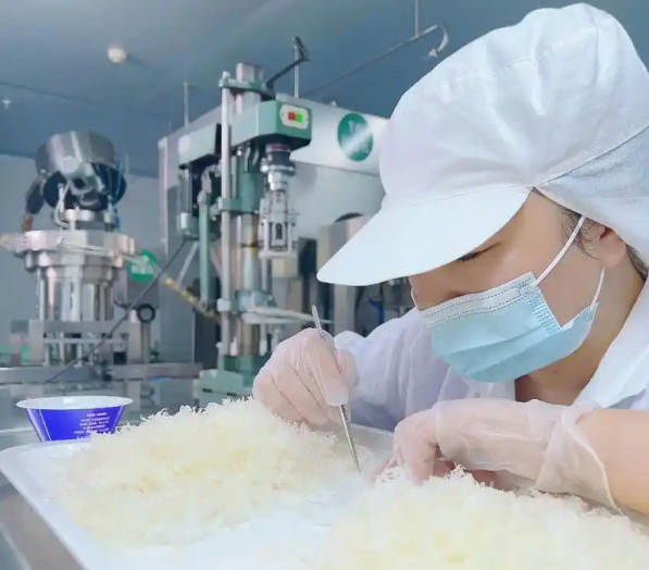 上海開燕窩加工廠最少要投資多少