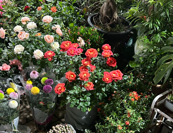 上海開花店一般要投資多少錢？全流程成本解析與實戰(zhàn)指南