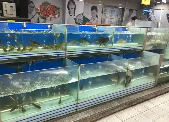 上海開個水產(chǎn)店需要多少錢？全流程成本解析