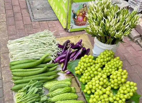 上海賣菜需要投資多少錢？上海賣菜投資指南