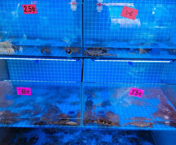 開個(gè)水產(chǎn)店大概多少錢？全流程成本解析與盈利指南