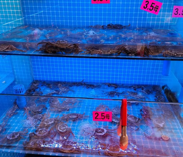 開個(gè)水產(chǎn)店大概多少錢？全流程成本解析與盈利指南