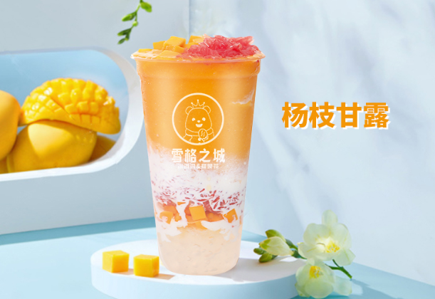 雪格之城加盟