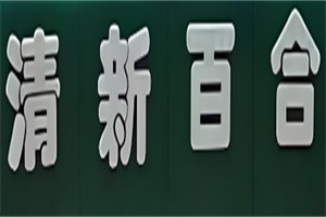 清新百合干洗店加盟