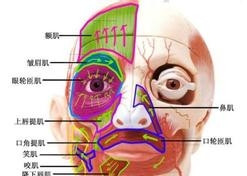 界通視力保健加盟